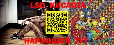 spice Изобильный