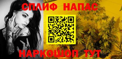 индика Ирбит