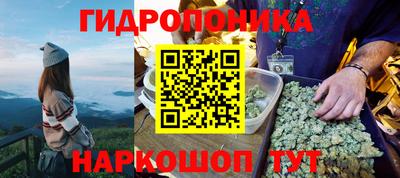 mdpv Кандалакша