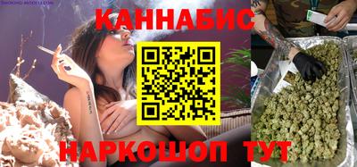 индика Ирбит
