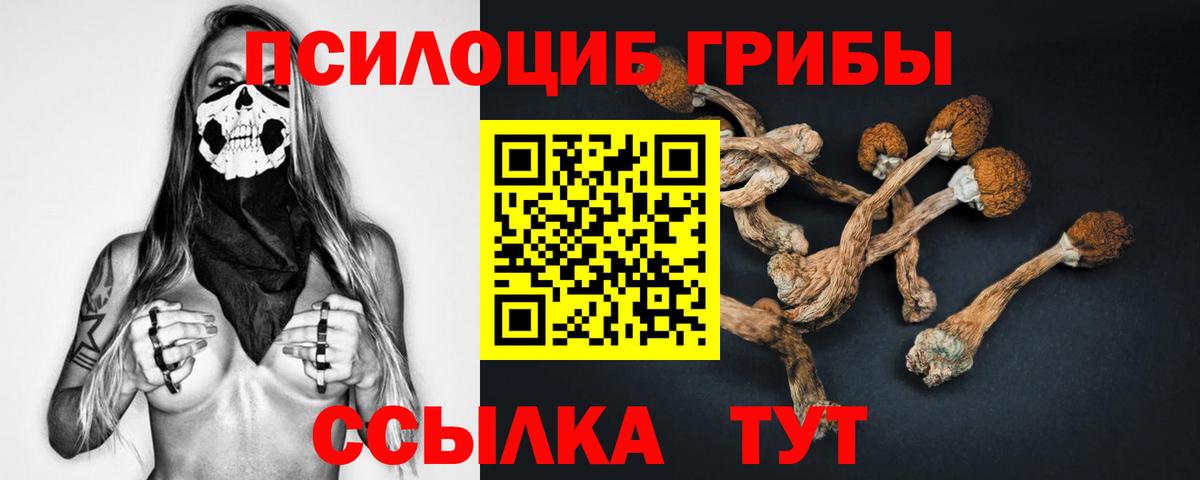 Галлюциногенные грибы прущие грибы  Вход с VPN  Элиста 