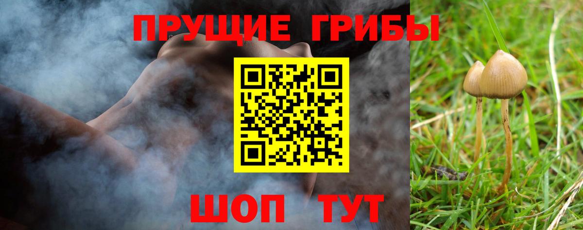 Галлюциногенные грибы мицелий Элиста